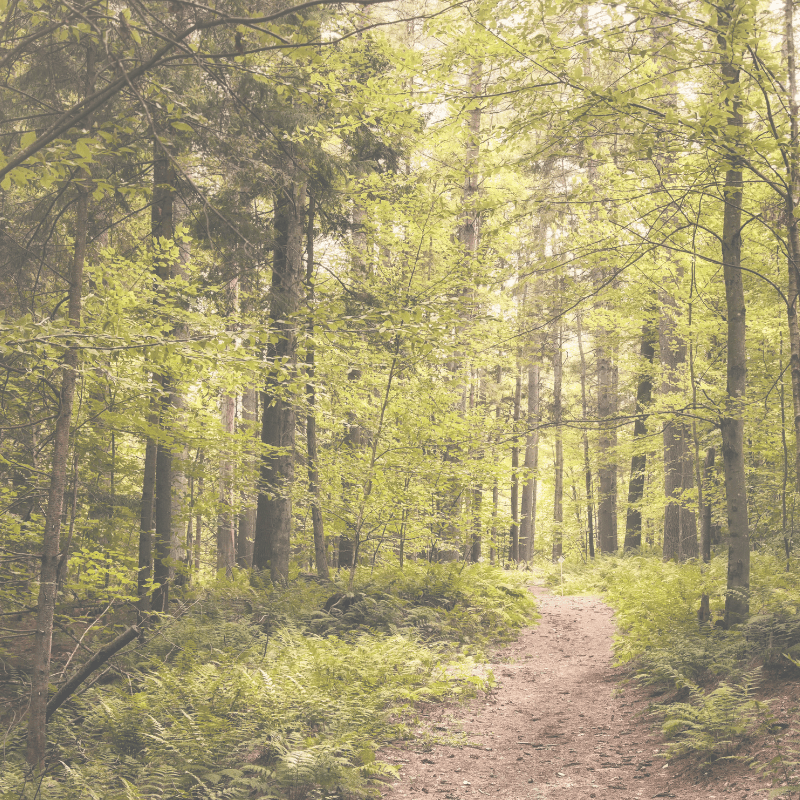 Design ohne Titel-14