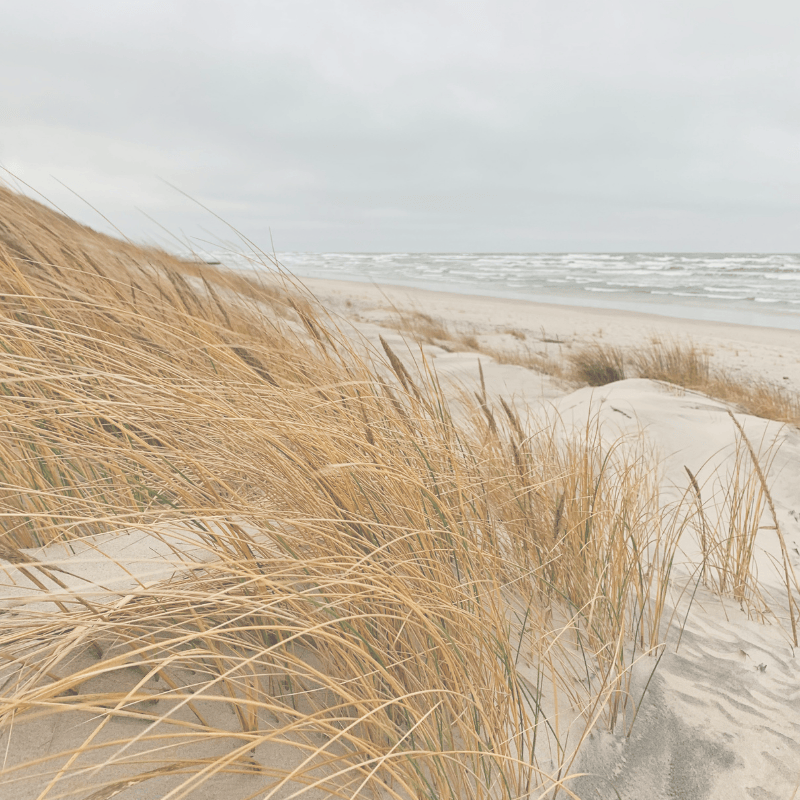 Design ohne Titel-16